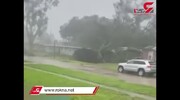 ویدیو هولناک از لحظه سقوط درخت بزرگ روی منزل مسکونی
