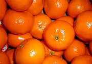 نارنگی به بازار آمد / هر کیلو ۱۵ هزار تومان