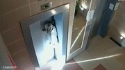 نجات جان سگ گیرافتاده در میان درب آسانسور / فیلم