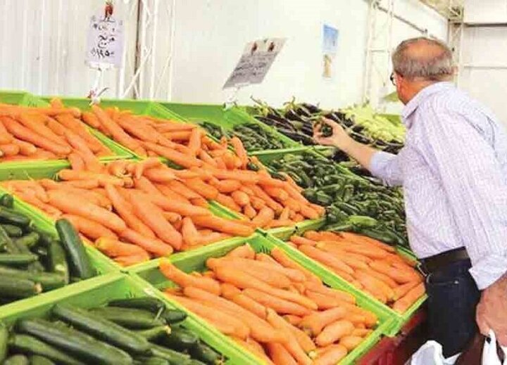ادامه روند نزولی قیمت هویج / هر کیلو هویج در بازار چند؟