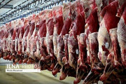روش جدید دامداران برای فروش دام های خود / قیمت هر کیلو گوشت قرمز چند؟