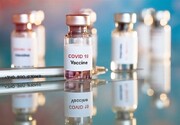 تفاوت واکسن سینوفارم و آسترازنکا چیست؟ / اینفوگرافیک