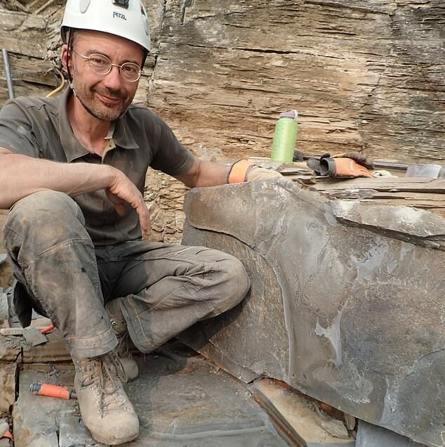 کشف گونه جدیدی از بندپایان با قدمت ۵۰۰ میلیون سال / تصاویر