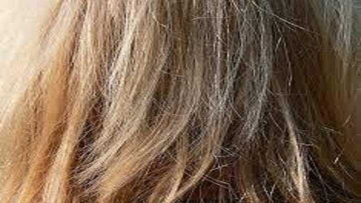 ۶ روش خانگی برای مراقبت از موهای آسیب دیده