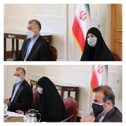 جلسه کمیته ویژه پیگیری حقوقی پرونده ترور سردار سلیمانی برگزار شد