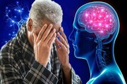 یافته های جدید محققان درباره علت بیماری آلزایمر