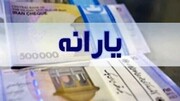 میزان یارانه پنهان هر ایرانی در ماه چقدر است؟