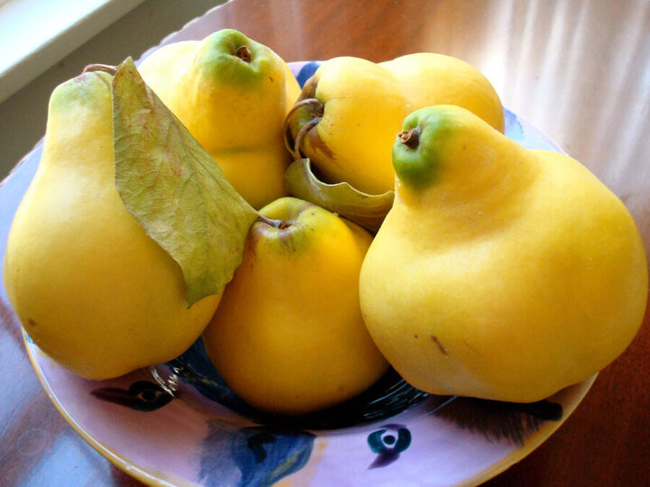 بالا بردن سیستم ایمنی بدن با مصرف این میوه خوشمزه‌