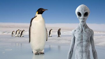 آیا پنگوئن‌ها همان آدم فضایی‌ها هستند؟