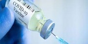 مجوز تزریق دُز سوم واکسن کرونا در آمریکا صادر شد