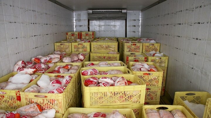 توزیع ۲۵ تن مرغ گرم در پایتخت از صبح امروز