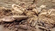 تصاویر دیده نشده از لحظه کشف جسد ۸۰۰ ساله / فیلم