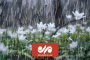باران پاییزی ۱۴۰۰ در مازندران /فیلم