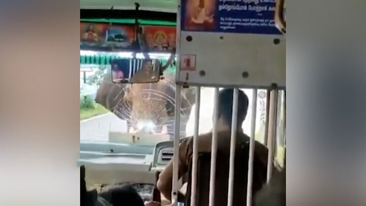 حمله فیل عصبانی به اتوبوس گردشگران / فیلم
