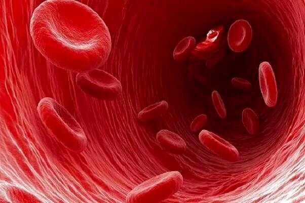 برای درمان کم خونی چه بخوریم؟
