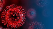 ریشه‌کنی ویروس کرونا بعید است / آیا بیماری کرونا بومی می‌شود؟