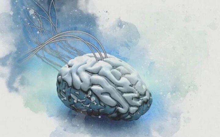 امیدواری محققان به کپی مغز انسان روی تراشه