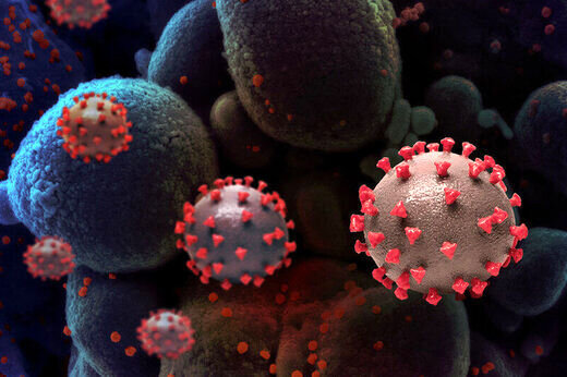 یک پیش بینی مهم درباره پایان شیوع ویروس کرونا 
