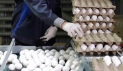 تخم مرغ باز هم گران شد /  هر شانه تخم مرغ ۶۰ هزار تومان