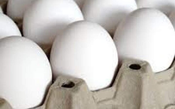 قیمت جدید هر شانه تخم مرغ در بازار؛ ۶۰ هزار تومان!