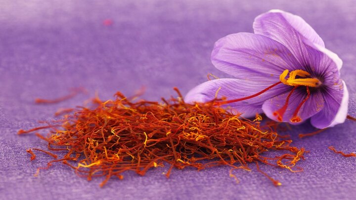خواص شگفت‌انگیز زعفران برای بدن؛ از کاهش چربی و فشار خون تا پیشگیری از سرطان