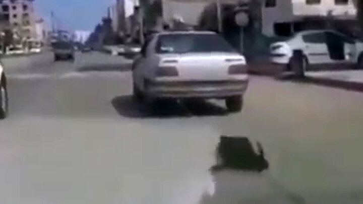ویدیو دلخراش از حیوان آزاری توسط دهیار در وسط خیابان! / فیلم