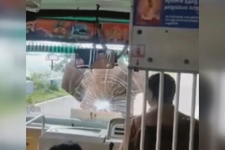 حمله فیل عصبانی به یک اتوبوس در هند / فیلم