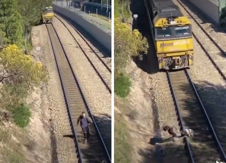 فیلمی دلهره آور از لحظه نجات سگ از روی ریل قطار
