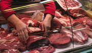 تعطیلی ۱۰ درصدی فروشندگان گوشت! / واردات گوشت یخی به ایران با وجود ورشکستی دامداران