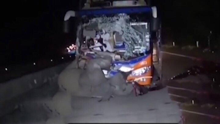 ویدیو دلخراش از برخورد شدید اتوبوس با فیل!