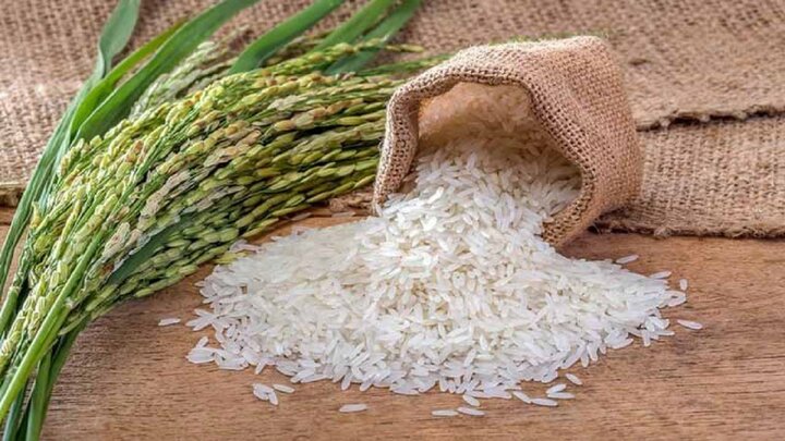 صدور مجوز ترخیص ۱۳ هزار تن برنج وارداتی