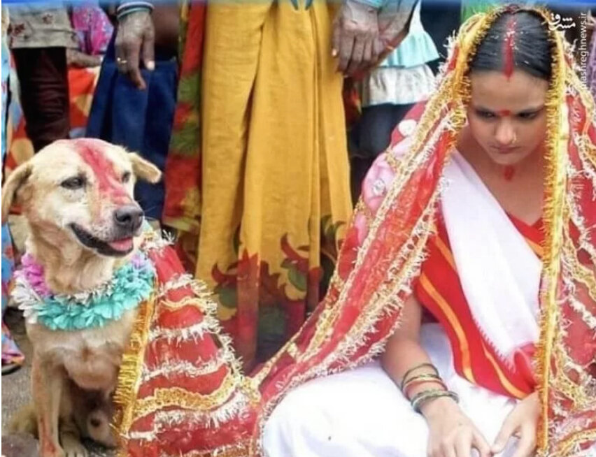 ازدواج با سگ