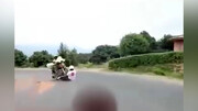 ویدیو هولناک از تصادف وحشتناک اسکیت‌سوار با موتورسیکلت / فیلم