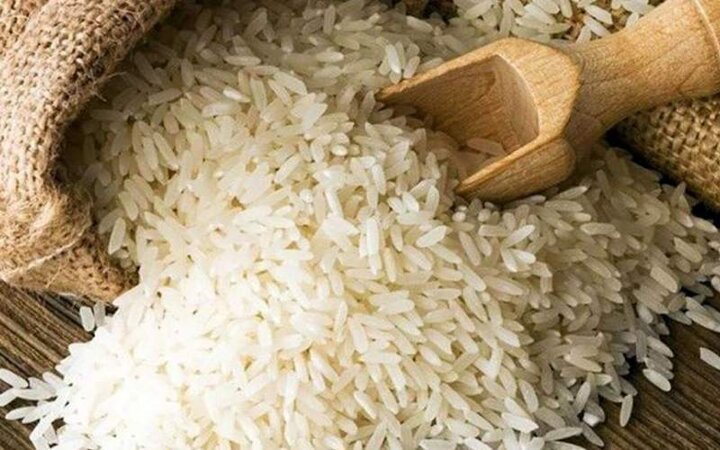  قیمت برنج ایرانی ارزان می شود