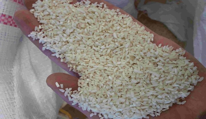 مردم مشتری ضایعات برنج خارجی شدند! / برنج نیم دانه در خارج چه کاربردی دارد؟