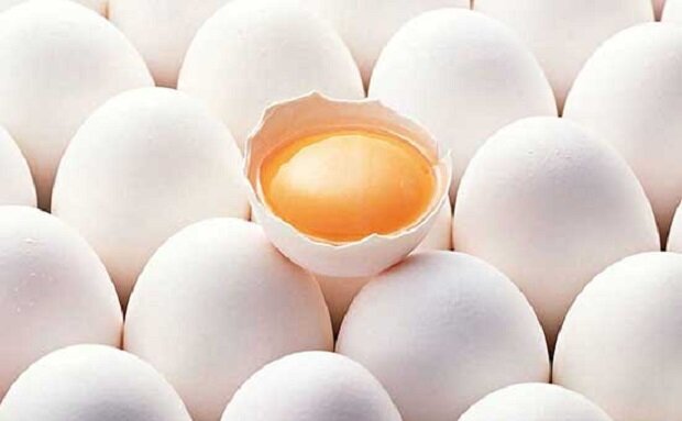 خرید تخم مرغ هم صفی می‌شود؟