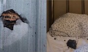 برخورد عجیب شهاب‌سنگ به تختخواب زن کانادایی / عکس