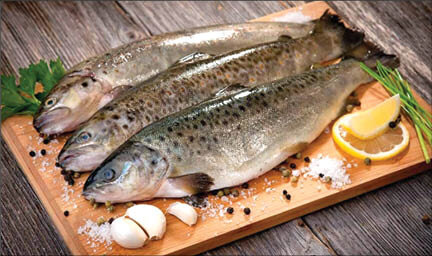 افزایش ۵۰۰ درصدی قیمت ماهی قزل‌آلا / هر کیلو ماهی قزل‌آلا چند؟