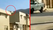ویدیو دلخراش از وحشی‌ترین سگ‌آزاری در ایران | پرتاب حیوان از بالای ساختمان