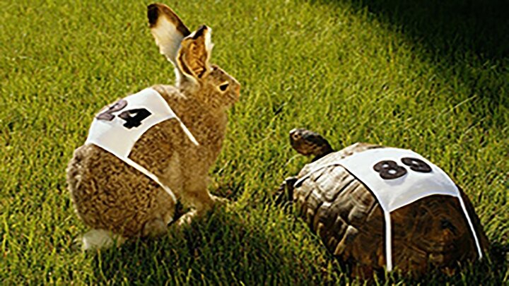 مسابقه جالب و دیدنی خرگوش و لاکپشت / فیلم