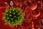 آشنایی با گونه جدید ویروس کرونا موسوم به «AY.4.2» / نوع جدید از کرونای دلتا خطرناک‌تر است