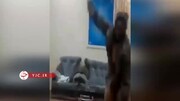 رقص آقای استاندار در دفتر کارش جنجالی شد! / فیلم