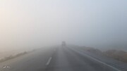 ویدیو تماشایی از جاده مه آلود طالقان