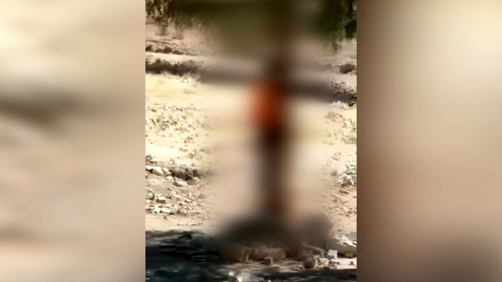ویدیو دلخراش از خودکشی پسربچه نوجوان از بالای درخت با طناب در قبرستان شیراز! / فیلم