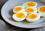 فواید فراوان مصرف سفیده تخم‌مرغ که از آن بی‌اطلاعید!