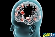 علت پیشرفت آلزایمر در مغز کشف شد