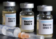 واردات واکسن سینوفارم توسط گروه دارویی برکت تکذیب شد