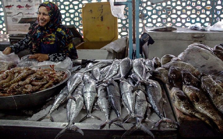 قاچاق میگو به چین و ماهی به دوبی / بازار دوبی از ماهی ایرانی پر شده است!