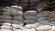 واردات برنج از اول آذر آزاد می شود / ریزش قیمت ها در راه است؟