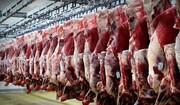 تاثیر حذف ارز ۴۲۰۰ تومانی بر قیمت گوشت قرمز و مرغ / هر کیلو مرغ به ۱۰۰ هزار تومان می رسد!